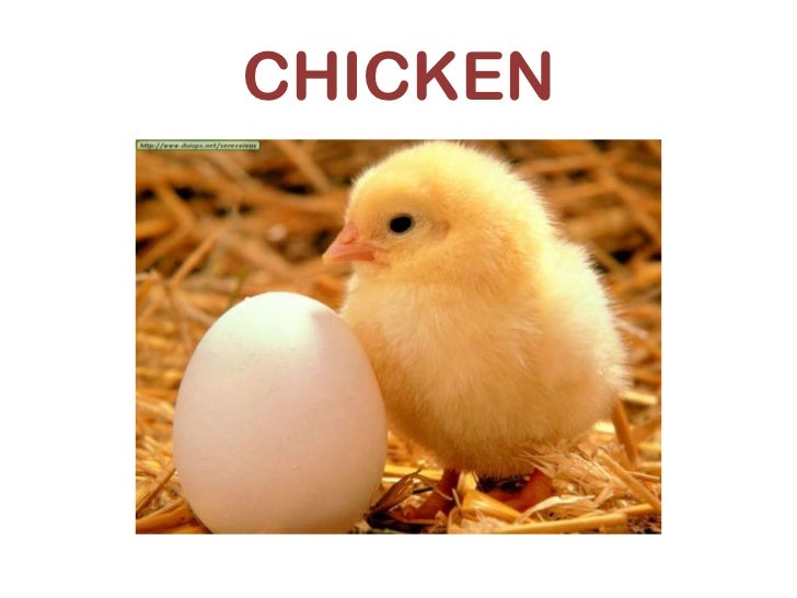 Apa arti kata be yourself Qué quiere decir chicken en inglés
